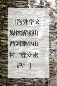 海外华文媒体解锁山西河津小山村“蝶变密码”
