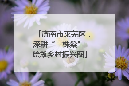 济南市莱芜区：深耕“一株桑” 绘就乡村振兴图
