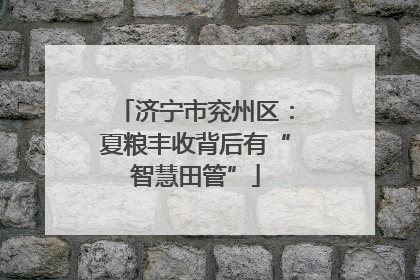 济宁市兖州区：夏粮丰收背后有“智慧田管”