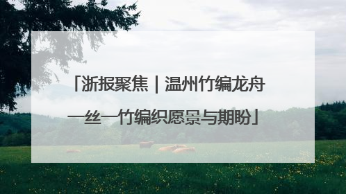 浙报聚焦｜温州竹编龙舟 一丝一竹编织愿景与期盼