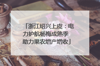 浙江绍兴上虞：电力护航杨梅成熟季 助力果农增产增收