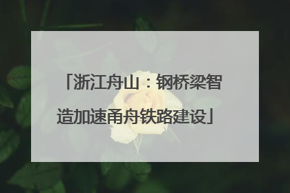 浙江舟山：钢桥梁智造加速甬舟铁路建设
