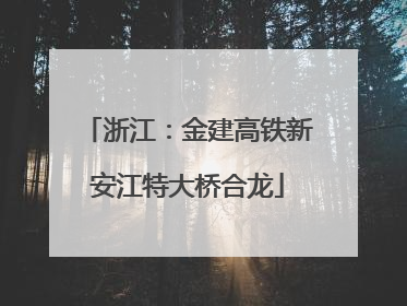 浙江：金建高铁新安江特大桥合龙