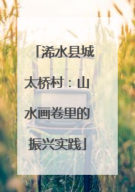 浠水县城太桥村：山水画卷里的振兴实践