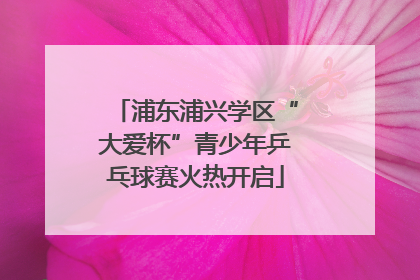 浦东浦兴学区“大爱杯”青少年乒乓球赛火热开启