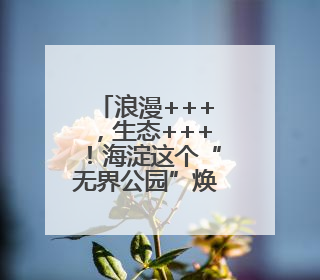 浪漫+++，生态+++！海淀这个“无界公园”焕新开放！