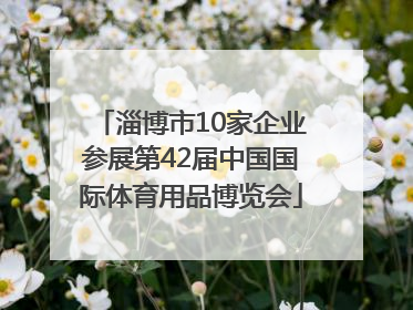 淄博市10家企业参展第42届中国国际体育用品博览会
