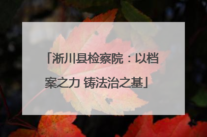 淅川县检察院：以档案之力 铸法治之基
