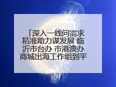 深入一线问需求 精准助力谋发展 临沂市台办 市港澳办商城出海工作组到平邑县走访调研