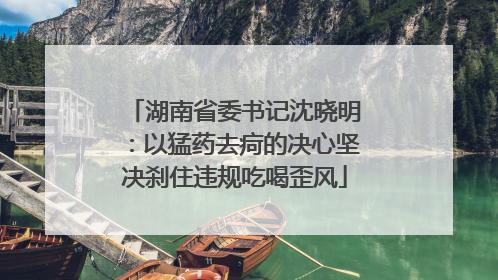 湖南省委书记沈晓明：以猛药去疴的决心坚决刹住违规吃喝歪风