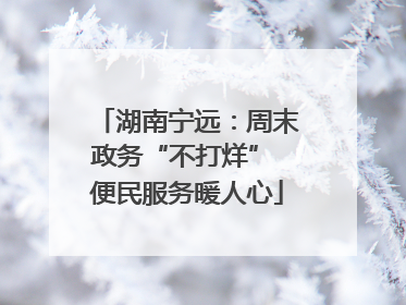 湖南宁远：周末政务“不打烊” 便民服务暖人心