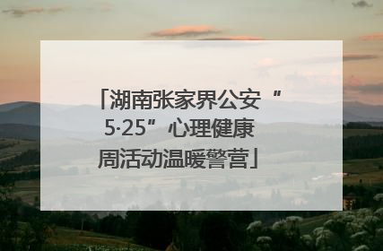 湖南张家界公安“5·25”心理健康周活动温暖警营