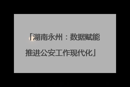 湖南永州：数据赋能推进公安工作现代化