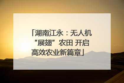 湖南江永：无人机“展翅”农田 开启高效农业新篇章
