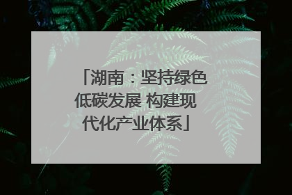 湖南：坚持绿色低碳发展 构建现代化产业体系
