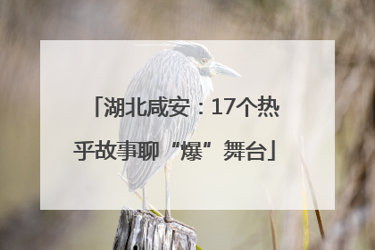 湖北咸安：17个热乎故事聊“爆”舞台