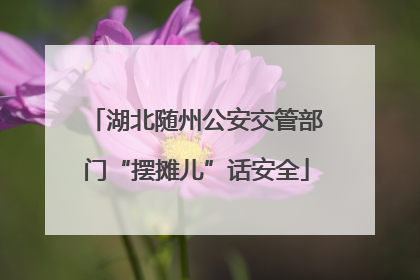 湖北随州公安交管部门“摆摊儿”话安全