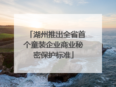 湖州推出全省首个童装企业商业秘密保护标准