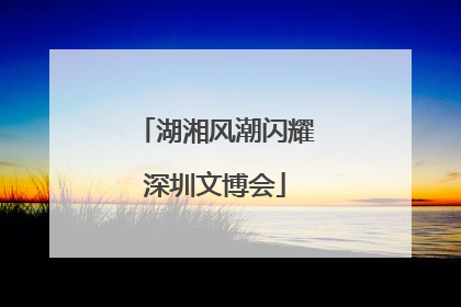 湖湘风潮闪耀深圳文博会
