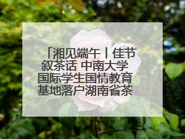湘见端午丨佳节叙茶话 中南大学国际学生国情教育基地落户湖南省茶叶博物馆
