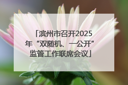 滨州市召开2025年“双随机、一公开” 监管工作联席会议