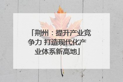 荆州：提升产业竞争力 打造现代化产业体系新高地