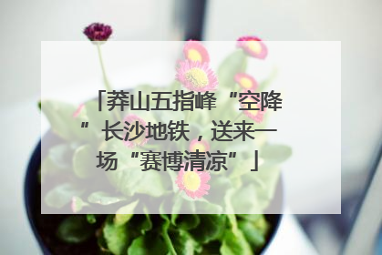 莽山五指峰“空降”长沙地铁，送来一场“赛博清凉”