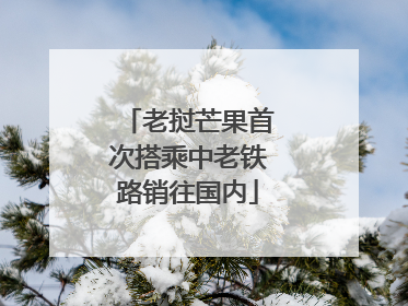 老挝芒果首次搭乘中老铁路销往国内