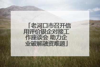 老河口市召开信用评价银企对接工作座谈会 助力企业破解融资难题