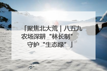 聚焦北大荒｜八五九农场深耕“林长制” 守护“生态绿”