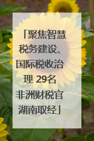 聚焦智慧税务建设、国际税收治理 29名非洲财税官湖南取经