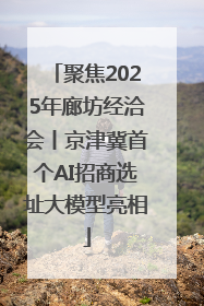 聚焦2025年廊坊经洽会丨京津冀首个AI招商选址大模型亮相
