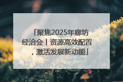 聚焦2025年廊坊经洽会丨资源高效配置，激活发展新动能