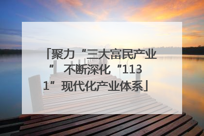 聚力“三大富民产业” 不断深化“1131”现代化产业体系