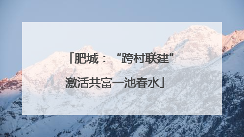 肥城：“跨村联建”激活共富一池春水