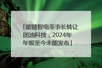 能链智电董事长转让团油科技，2024年年报至今未能发布
