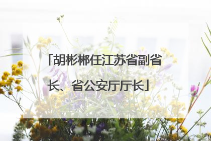 胡彬郴任江苏省副省长、省公安厅厅长