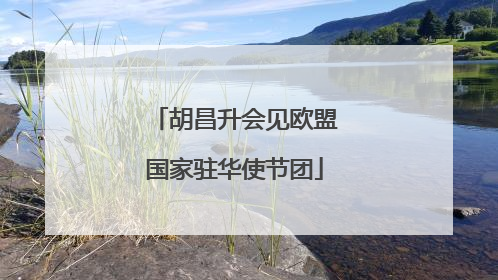 胡昌升会见欧盟国家驻华使节团
