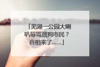 芜湖一公园大喇叭辱骂遛狗市民？真相来了……