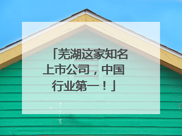 芜湖这家知名上市公司，中国行业第一！