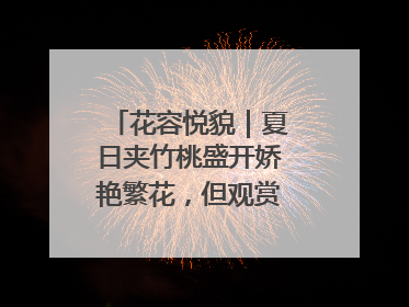 花容悦貌｜夏日夹竹桃盛开娇艳繁花，但观赏时“碰不得”