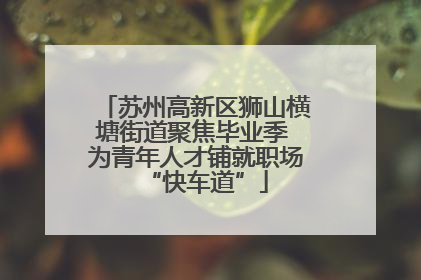 苏州高新区狮山横塘街道聚焦毕业季 为青年人才铺就职场“快车道”