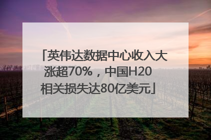 英伟达数据中心收入大涨超70%，中国H20相关损失达80亿美元