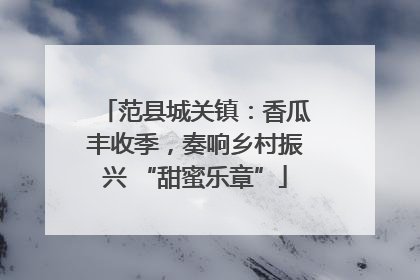 范县城关镇：香瓜丰收季，奏响乡村振兴 “甜蜜乐章”