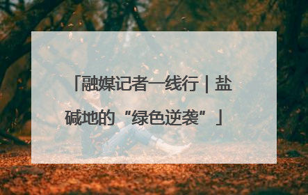 融媒记者一线行｜盐碱地的“绿色逆袭”