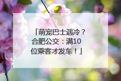 萌宠巴士遇冷？合肥公交：满10位乘客才发车！