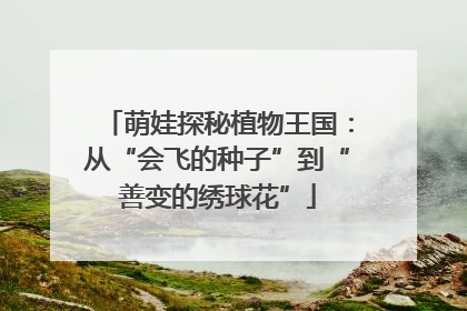 萌娃探秘植物王国：从“会飞的种子”到“善变的绣球花”
