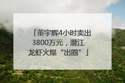 董宇辉4小时卖出3800万元，潜江龙虾火爆“出圈”