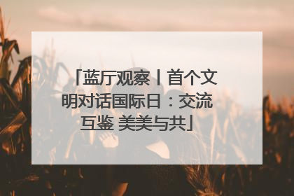 蓝厅观察丨首个文明对话国际日：交流互鉴 美美与共
