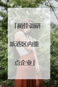 蔺佳调研新港区内重点企业